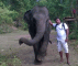 Dinesh mit Elefant